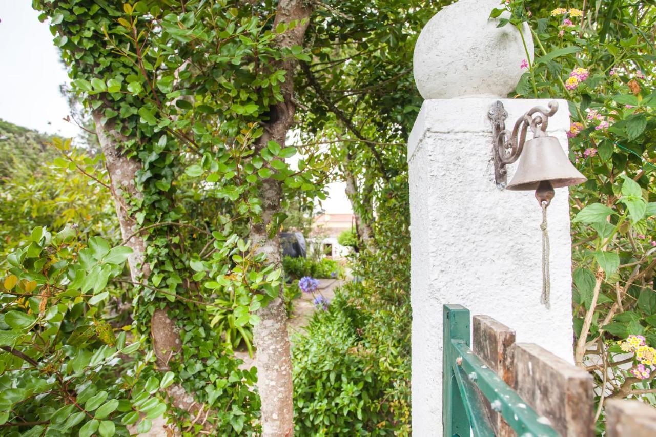 Beautiful Country House&Romantic Garden Σίντρα Εξωτερικό φωτογραφία